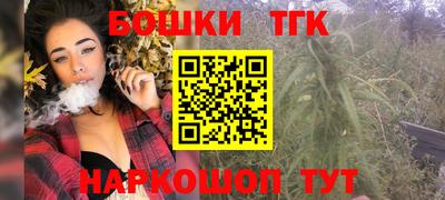индика Дмитров