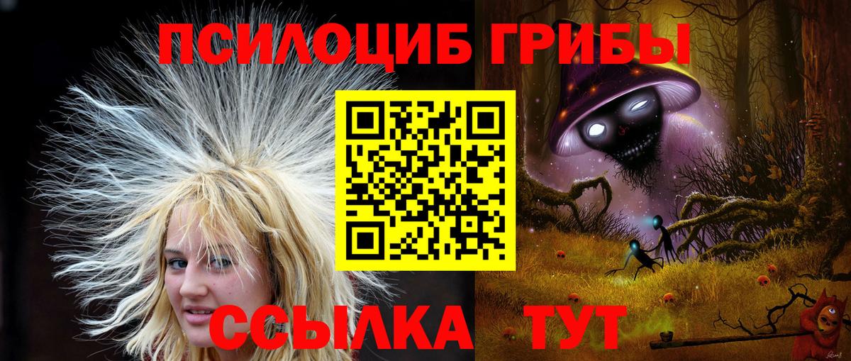 Советская Гавань  Галлюциногенные грибы GOLDEN TEACHER  где найти   Вход с VPN  Псилоцибиновые грибы GOLDEN TEACHER 