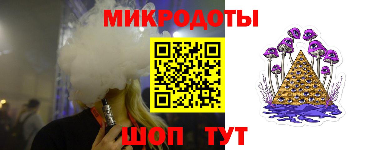 Псилоцибиновые грибы Psilocybe Советская Гавань